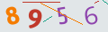 verifycode